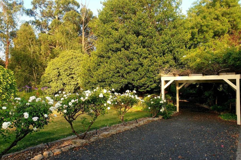 Bella Mia Tuscan Paradise Mount Gambier Exterior foto