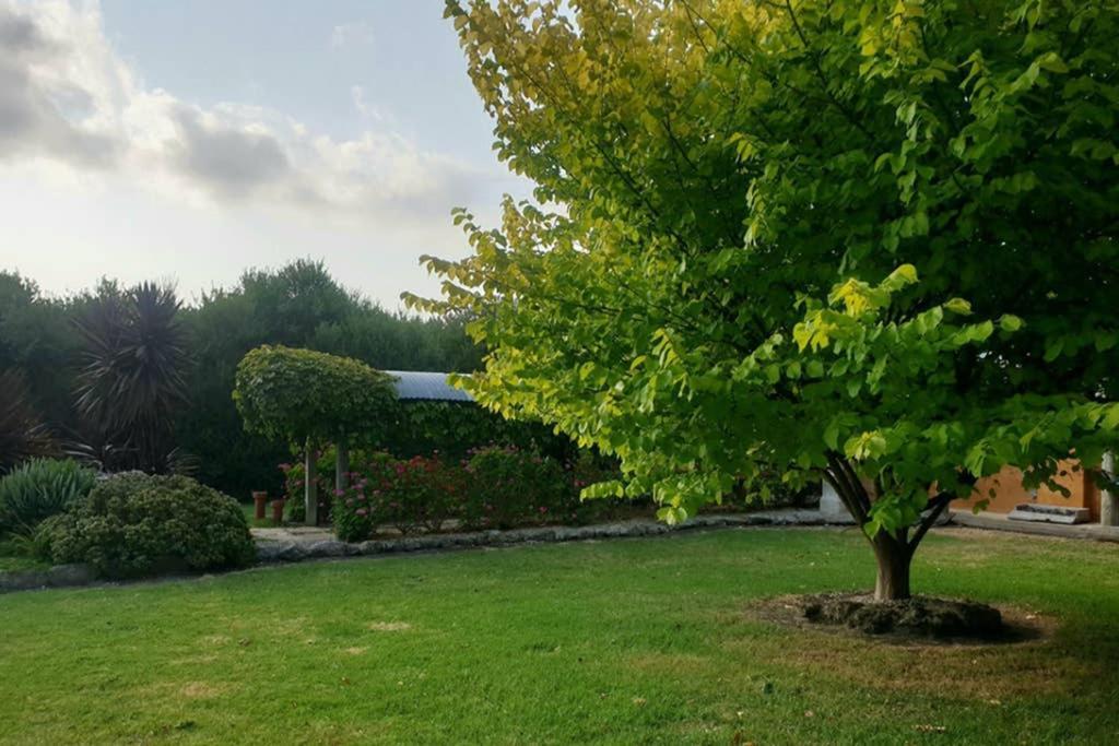 Bella Mia Tuscan Paradise Mount Gambier Exterior foto
